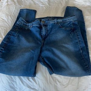 Avenue Denim Legging